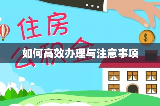 湖里如何高效办理与注意事项