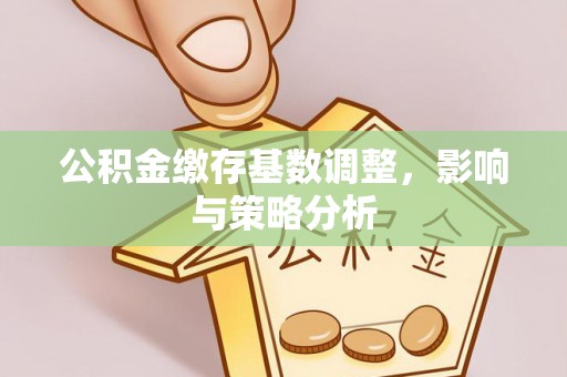 湖里公积金缴存基数调整，影响与策略分析