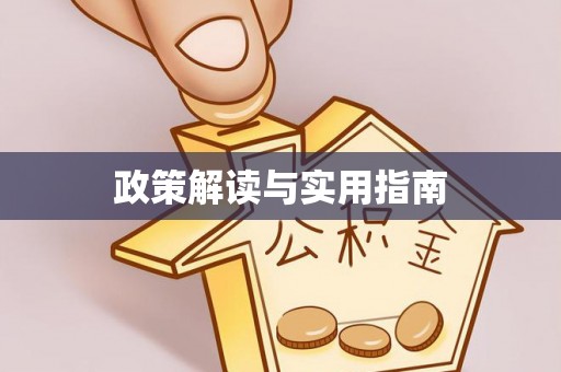 湖里政策解读与实用指南