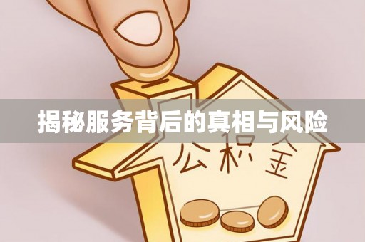 湖里揭秘服务背后的真相与风险
