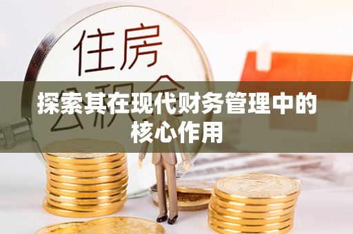 湖里探索其在现代财务管理中的核心作用