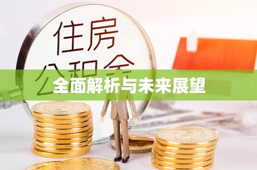湖里全面解析与未来展望