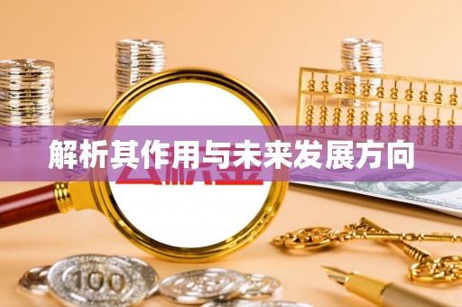湖里解析其作用与未来发展方向