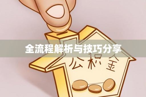 湖里全流程解析与技巧分享