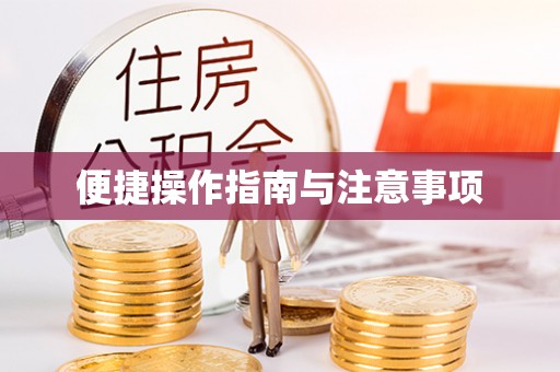 湖里便捷操作指南与注意事项